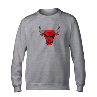 Chicago Bulls Logo Basic